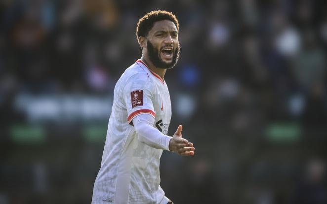 能够在国际 能够在国际