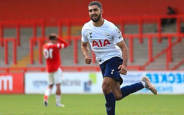 提供了更大 提供了更大