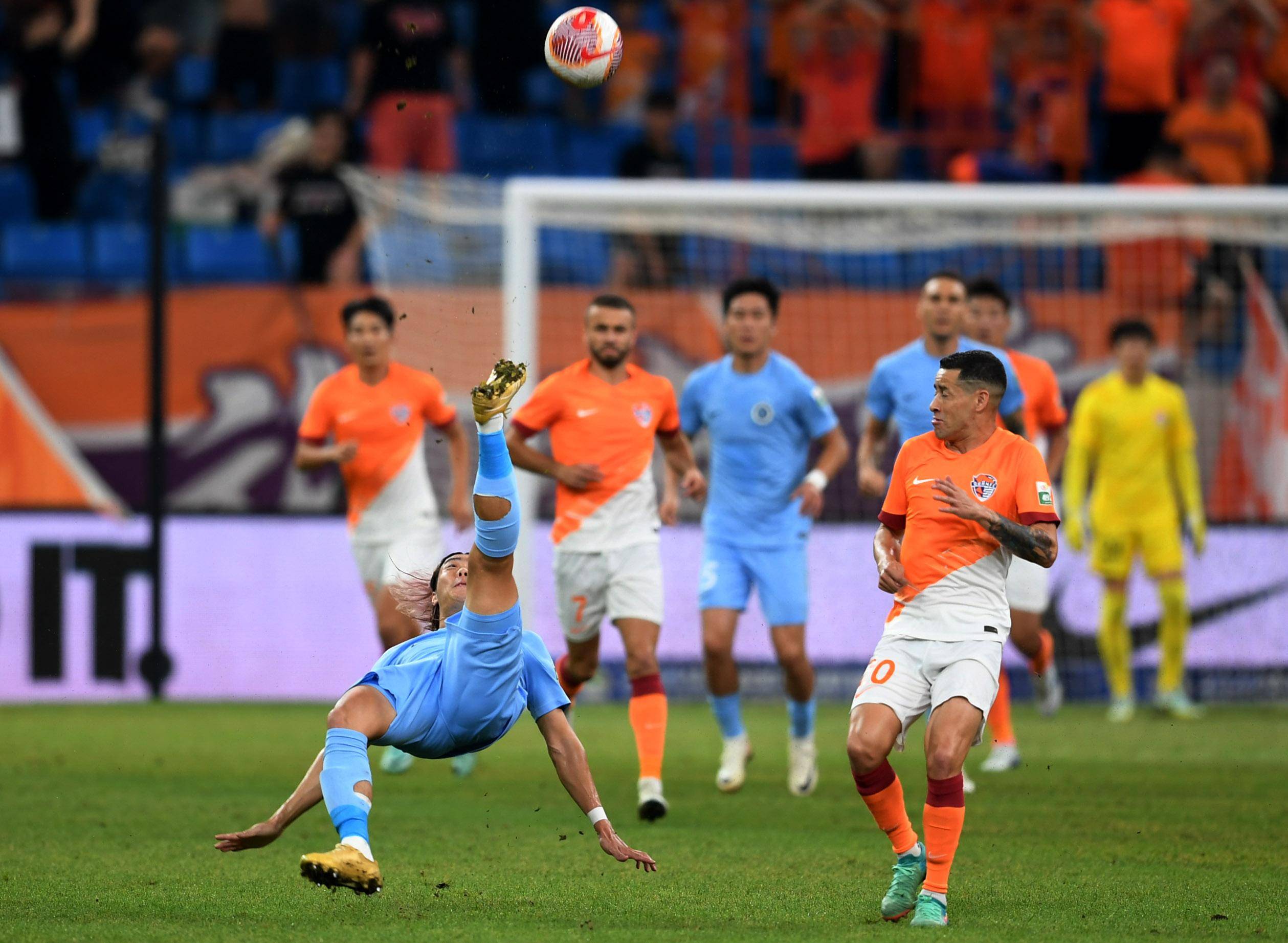 代表了许多 代表了许多