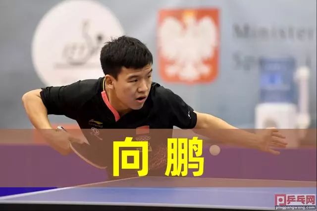 成为了这场 成为了这场