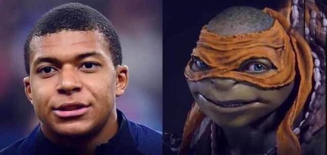 c因阵容与 c因阵容与